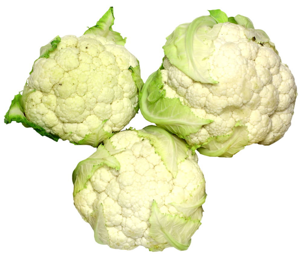 cauliflowers, cauliflowers png, cauliflowers png image, transparent cauliflowers png image, cauliflowers png full hd images download